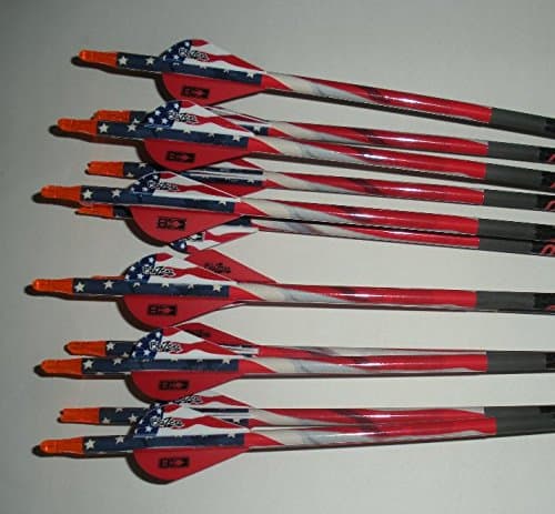 Percision Hunter Beman ICS 340 Carbon Arrows w/Blazer Vanes Pathfinder Wraps 1 Dz.