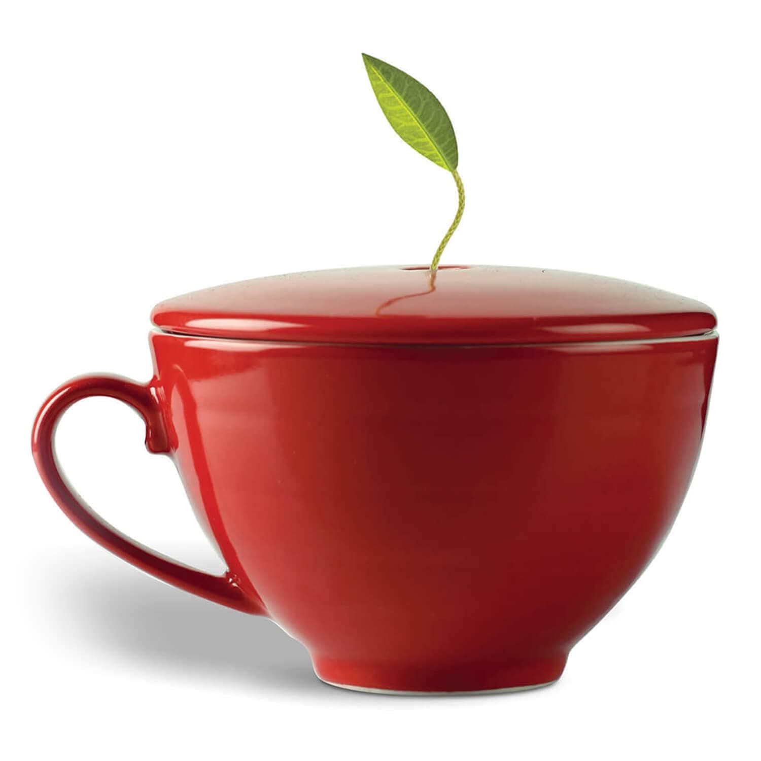 Cafe Cup Ruby Red Porcelain Tea Cup and Lid, Steeps 8 oz., Microwave and Dishwasher Safe