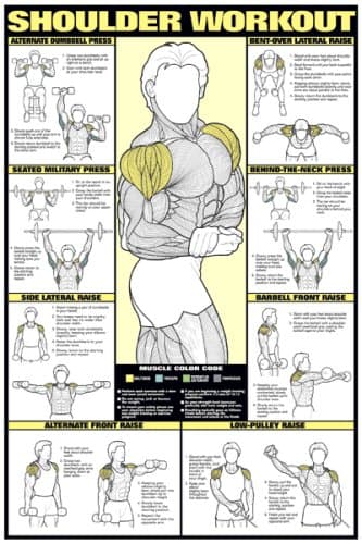 ALGRA Shoulder Workout 24" X 36" Laminated