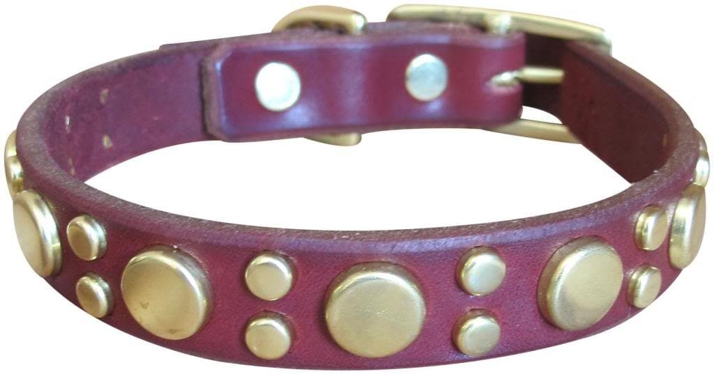 Paco Collars - "Tween Pickles" - Handmade Leather Medium-Small Dog Collar- 3/4" Wide - Silver - Brown 14"-16"
