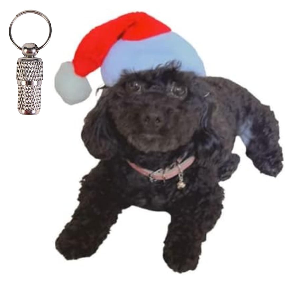 Petsary Pet hat christmas