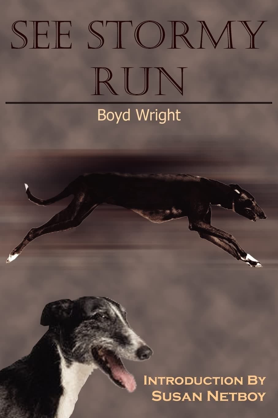 Boyd WrightSee Stormy Run: Introduction by Susan Netboy
