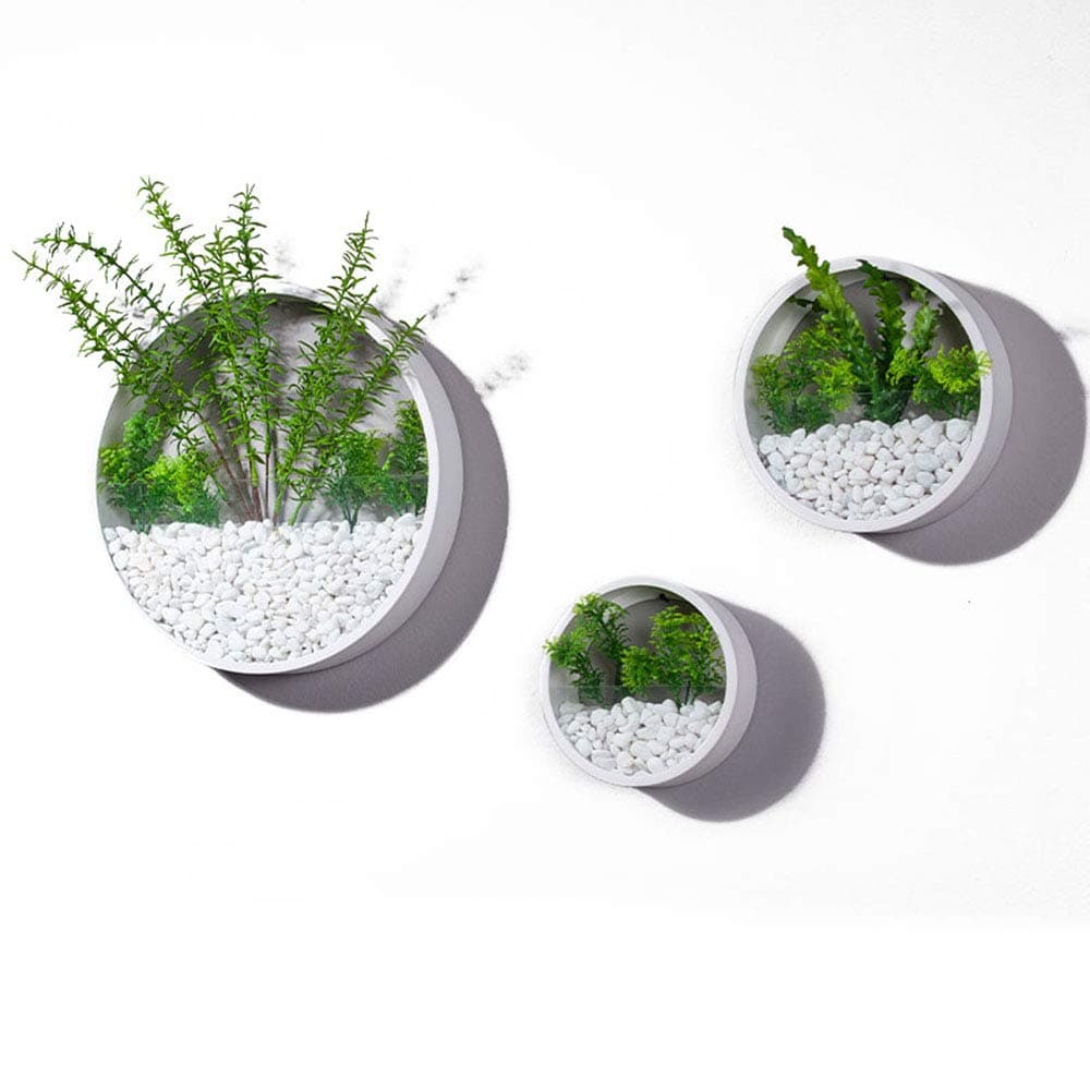 3 Pack Set Modern Wall Planters Succulent Planter Circle Metal Flower Pot Indoor Air Plant Vertical Container Hanging Vase Home Decoration Size S,M,L White, with 3 Artificial Succulent Plants