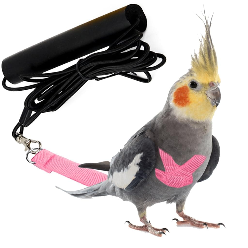 Qpets® Parrot Harness, Bird Harness Parrot Quick Release Strap Design, M