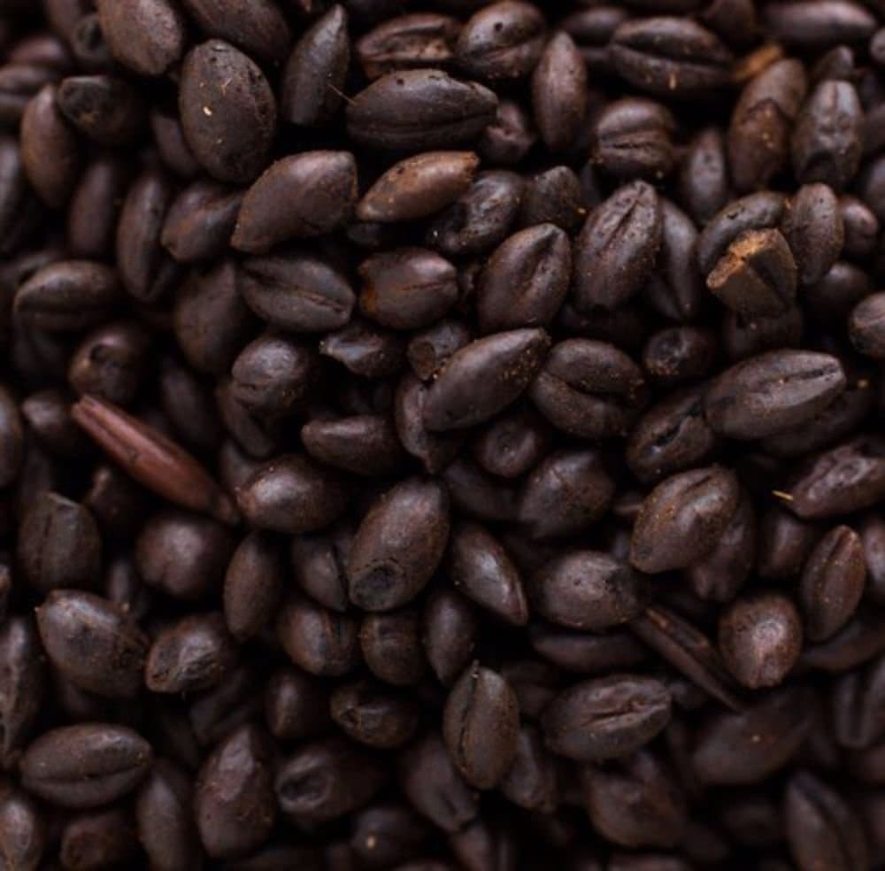 Briess Black Barley 1 lb