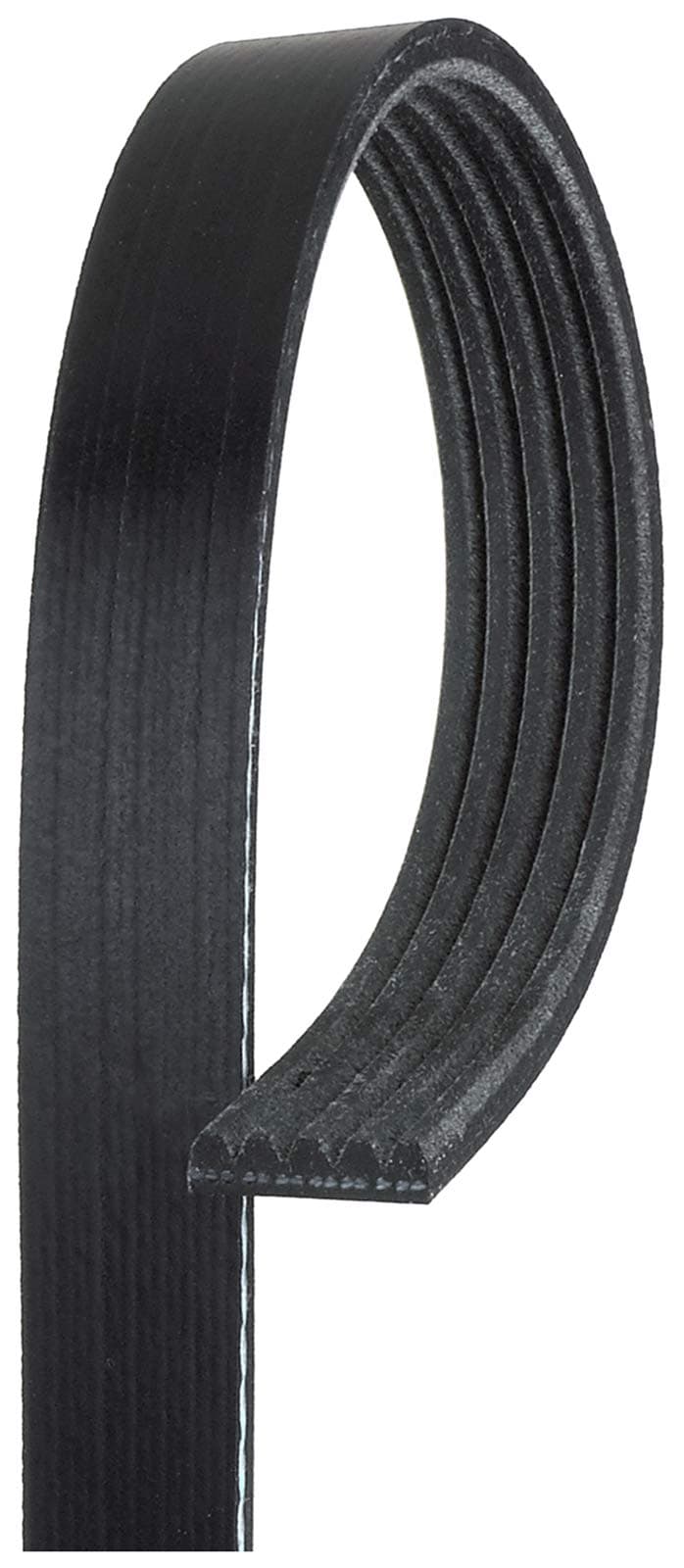 Gates K050344 Multi V-Groove Belt