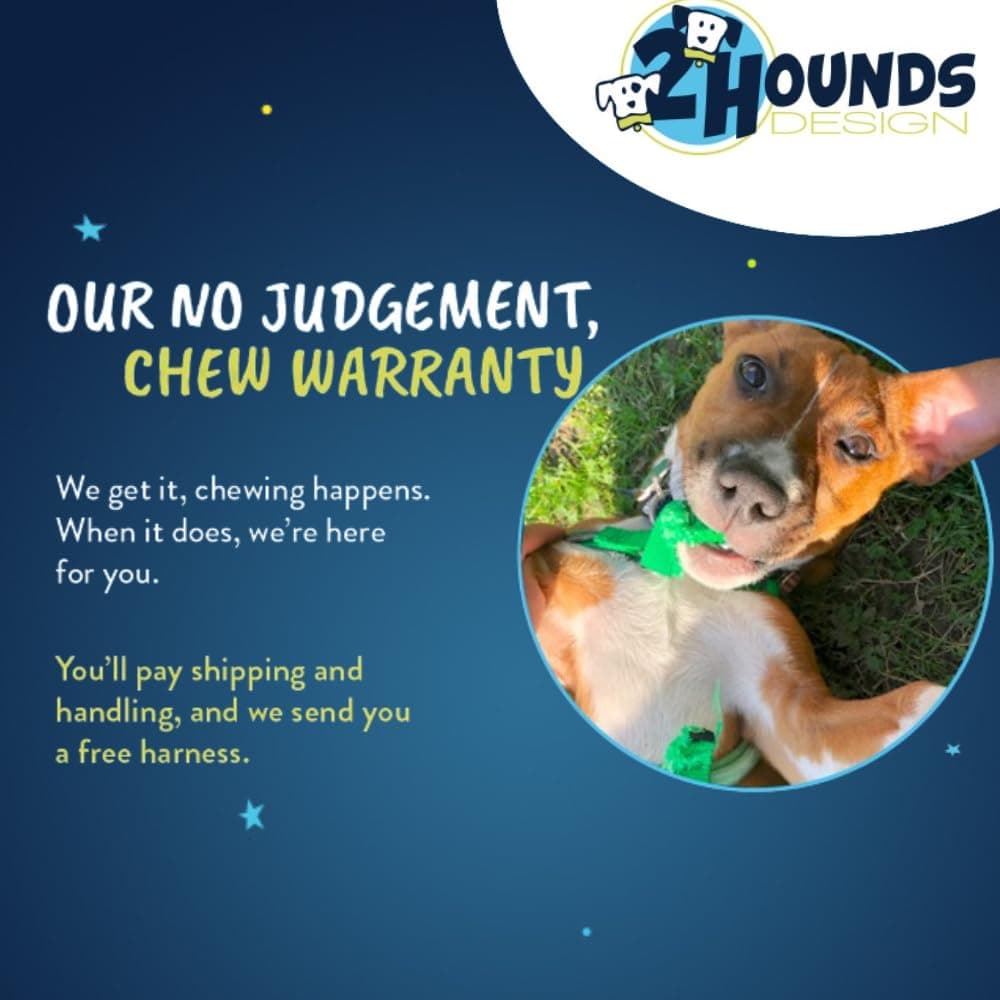 2 Hounds Design Freedom No Pull Dog Harness, Adjustable Harness and Leash Set, Easy Walking & Comfortable Control, Fits Small, Medium & Large Dogs, Solid Colors, Made in USA, 1" LG, Yellow