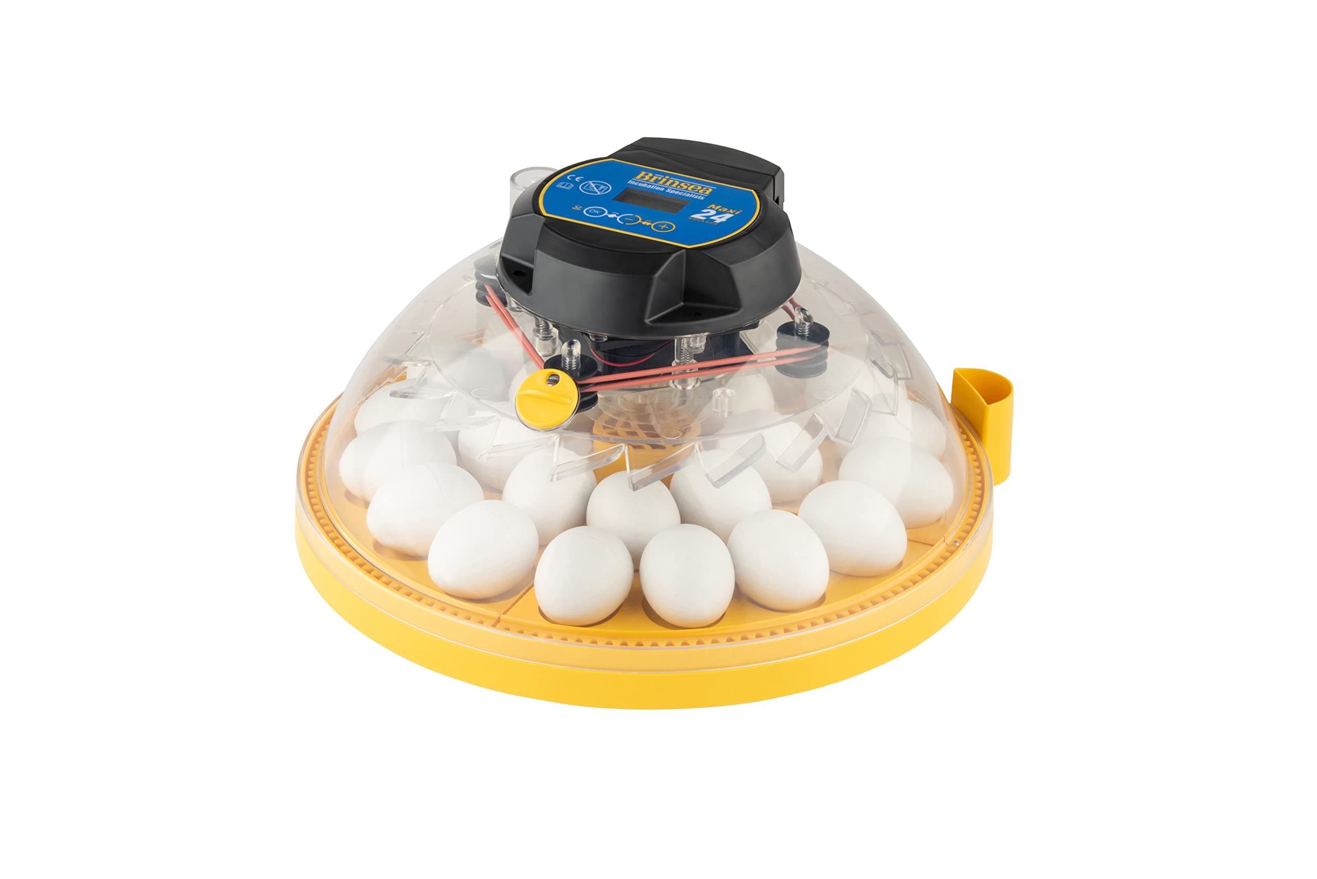 Maxi 24 Advance Egg Incubator