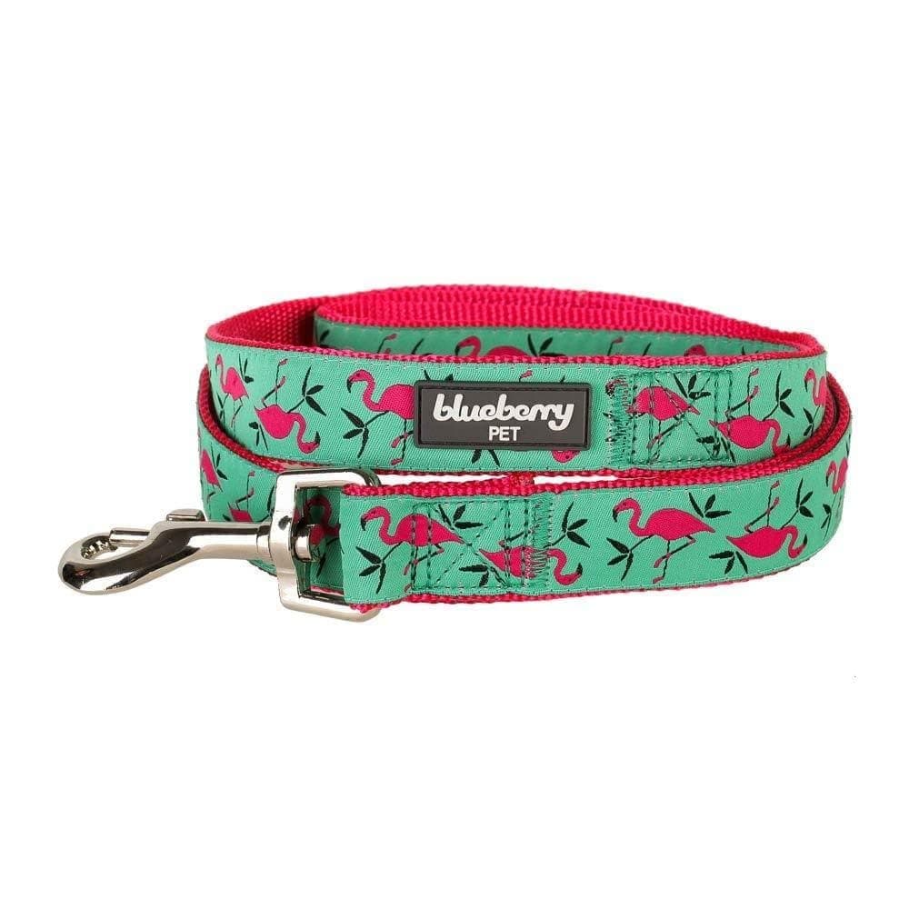 Essentials 2 Patterns Durable Pink Flamingo on Light Emerald Dog Leash 5 ft x 3/8" for Puppy, X-Small, Basic Nylon Leashes for Dogs