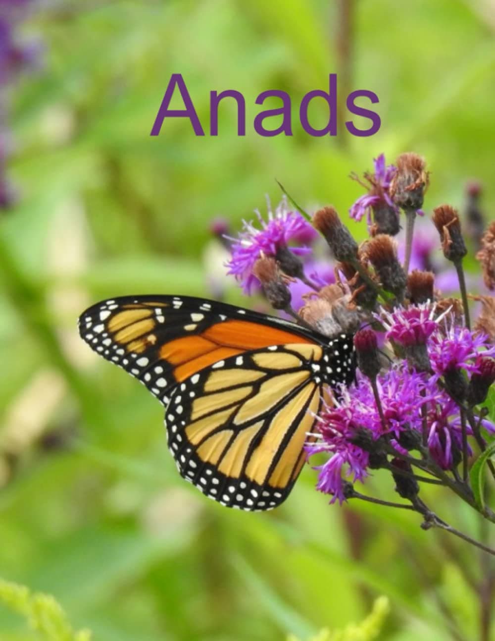 Anads Paperback – 6 July 2021