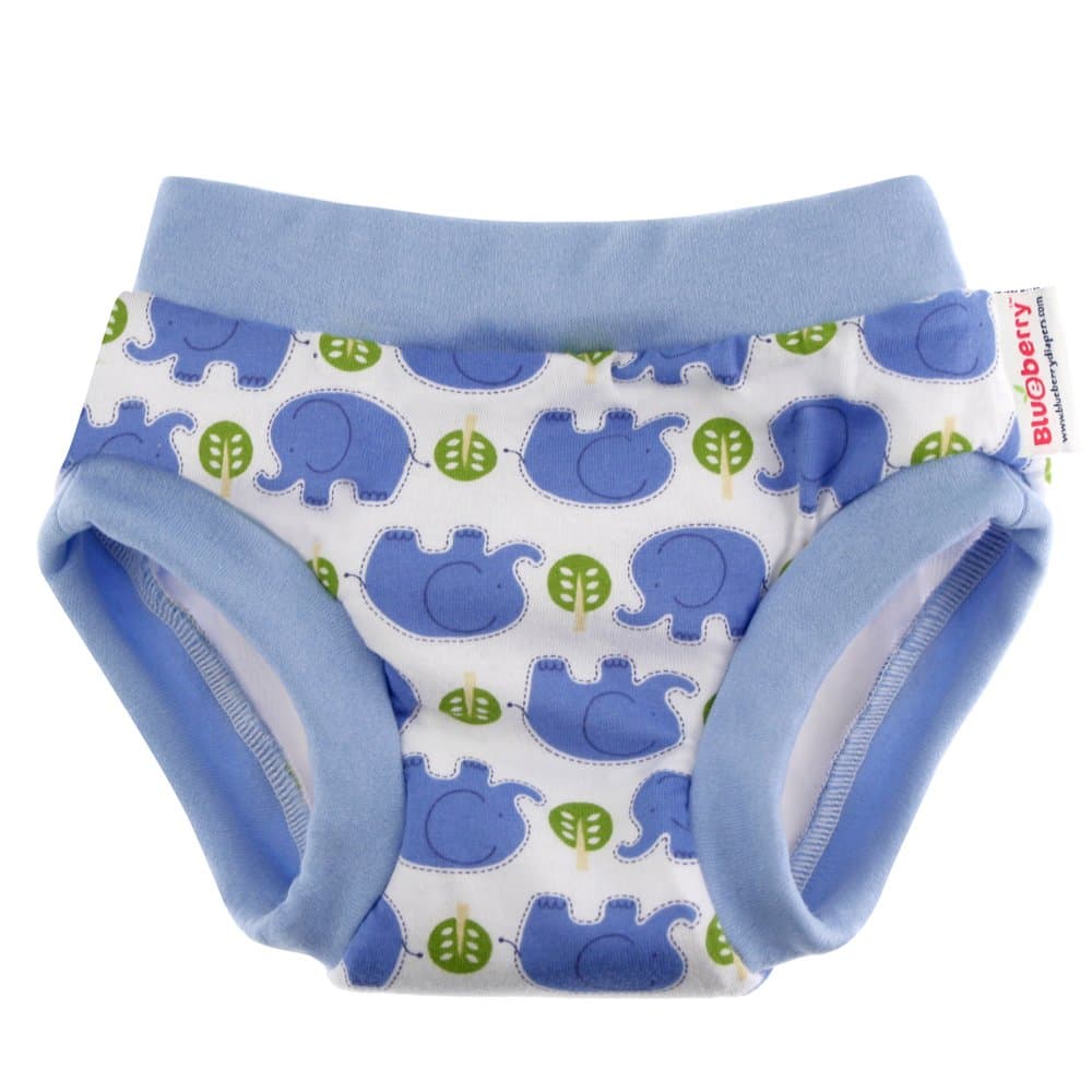 Blueberry Boys' Classic