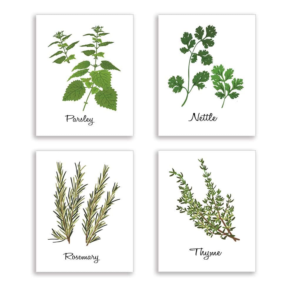 Kitchen Herb Art Prints，Botanical Prints Wall Art Decor ，Rustic Country Farmhouse art picture，thyme parsley nettle rosemary canvas poster and print，for kitchen home living room decoration，set of 4 8X1