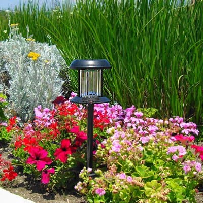 Sparkle Black Solar Light - White LED