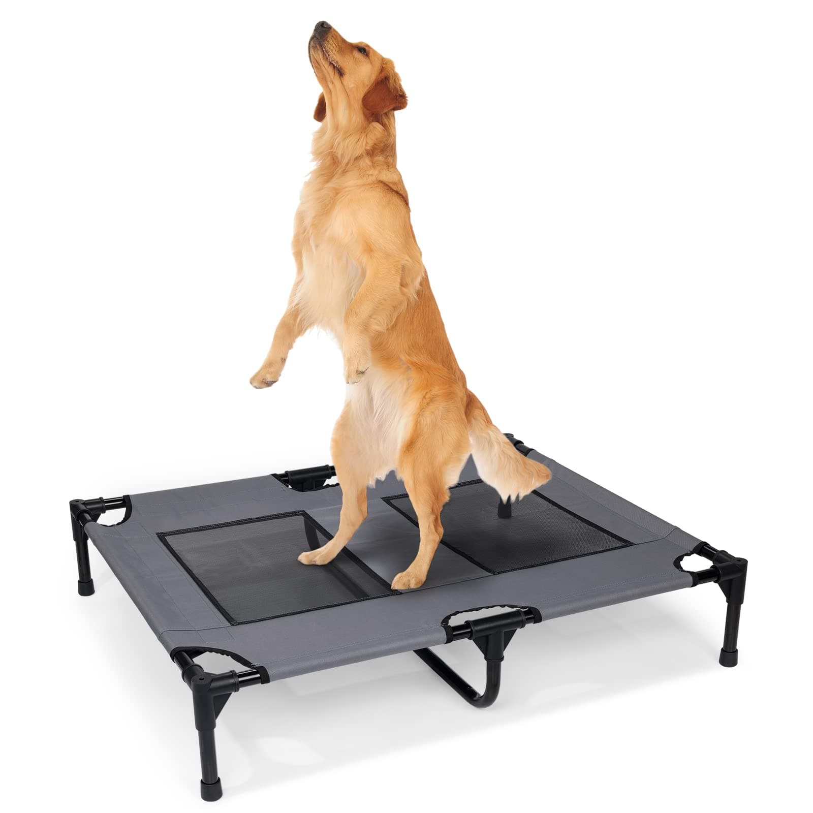 Ourea Dog Training Platform - Large Dog Place Training Platform Agility Training Equipment for Dogs Place Board - Dog Trainer Musthaves(Medium)