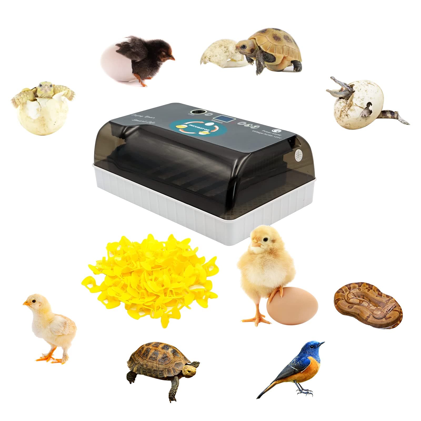 12 Egg Incubator with Chicks Glasses