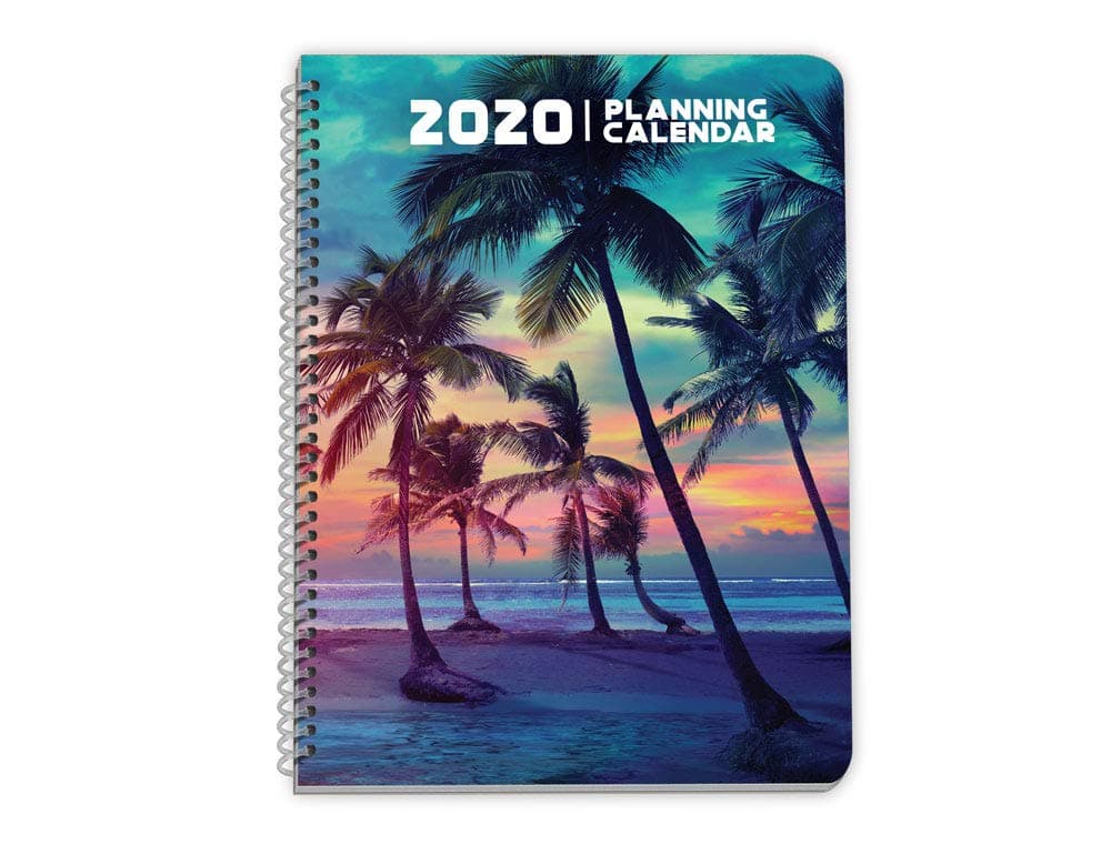 Dated 2020 Week at a Glance Annual Planner Wisdom - Medium (6.625 x 9 Inches) - Calm Palm Tree Beach Daily Lines, Monthly Space, Yearly Calendars, Organizer, Life Planner
