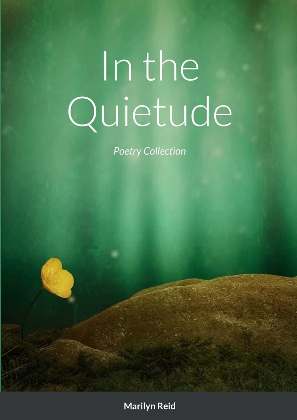 In the Quietude: Collection 1.
