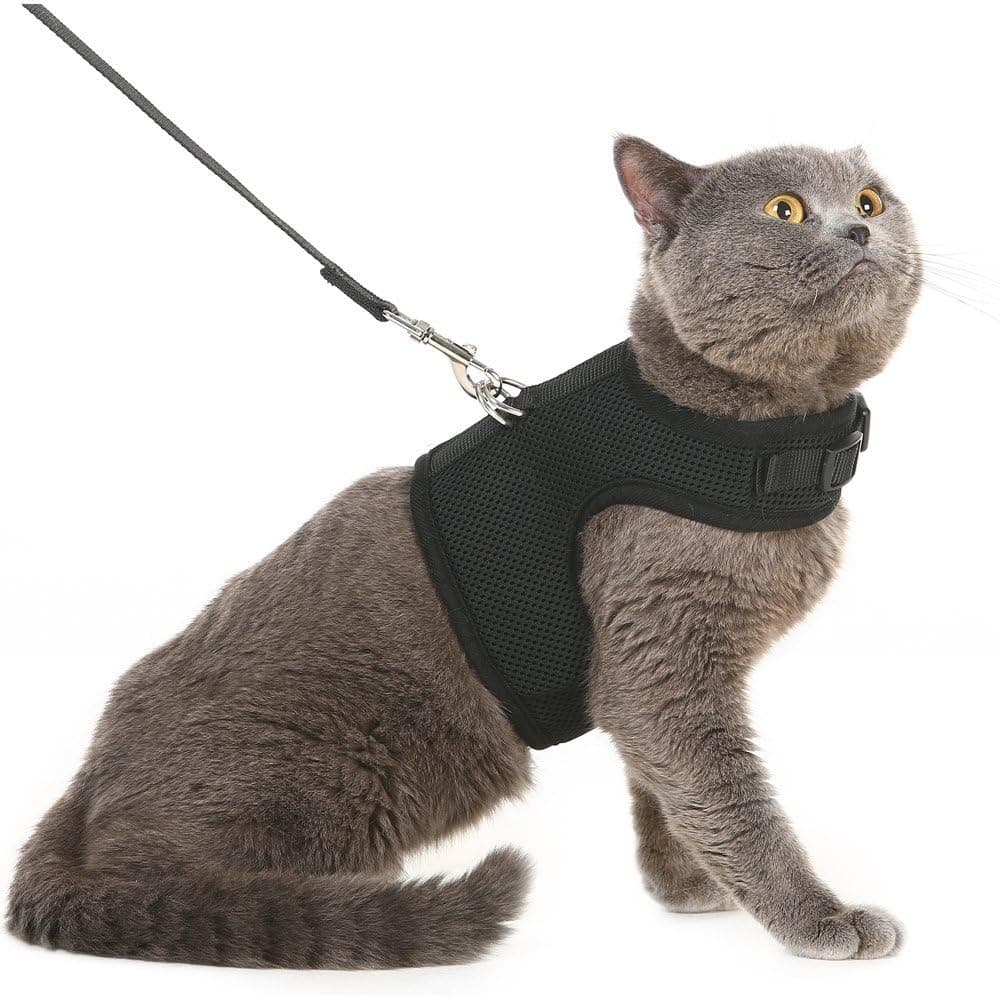 Vest Cat Harness & Leash