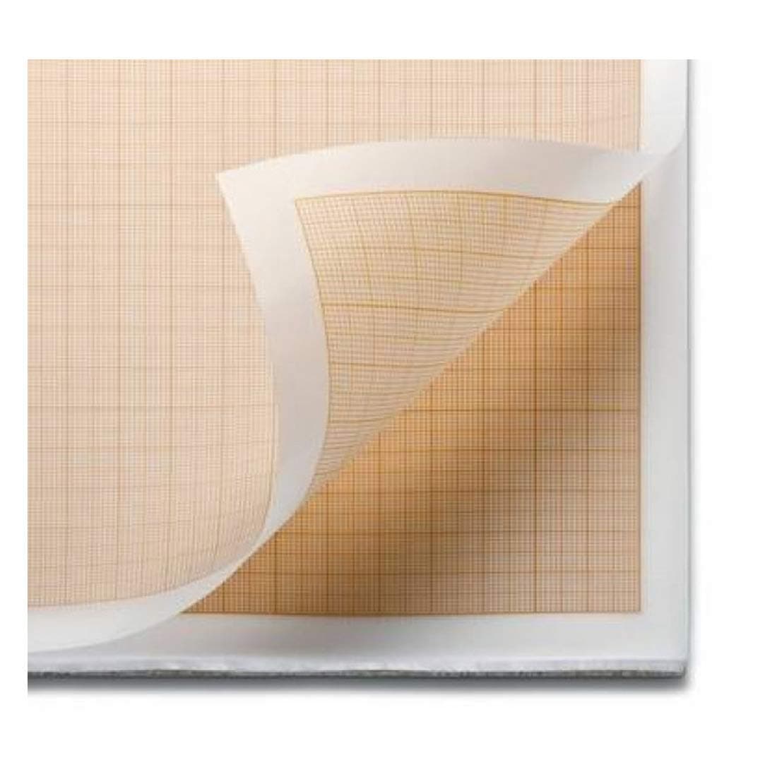CRAFTWAFT TRACING GRAPH PAPER (100)