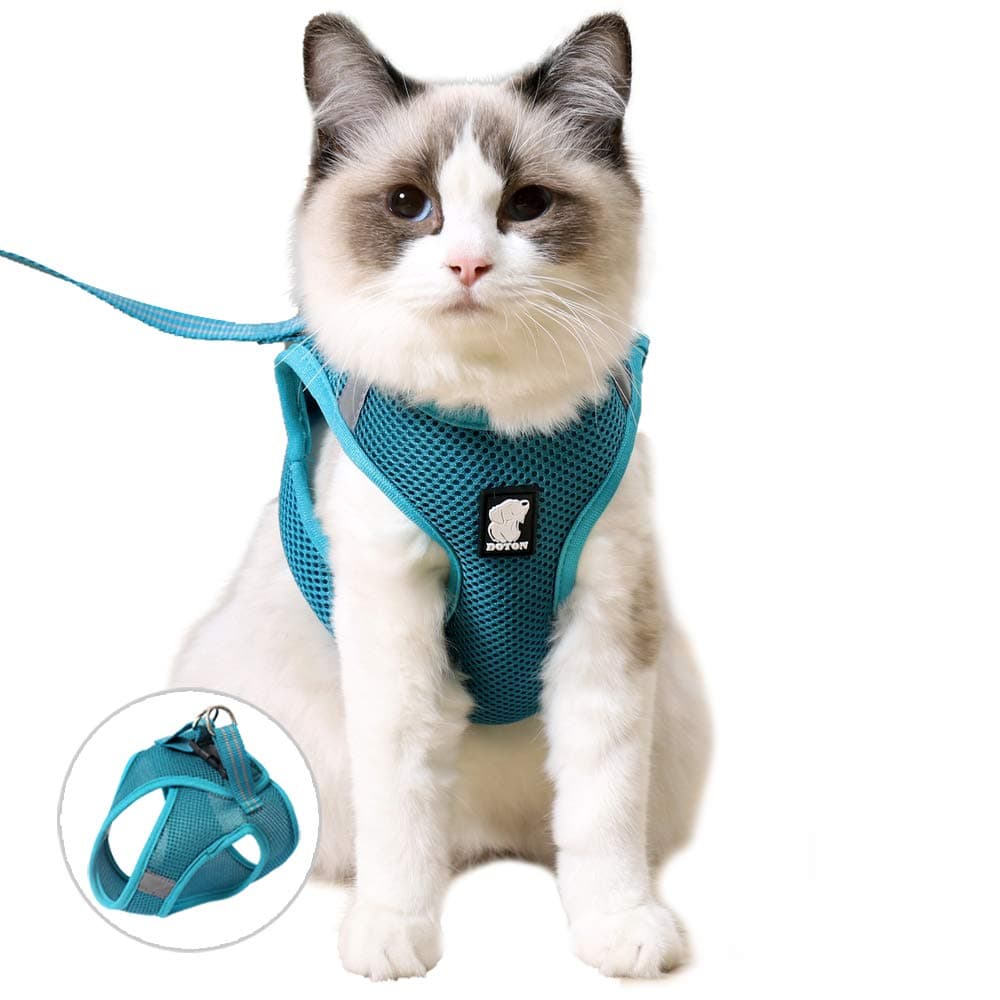 Cat Harness and Leash Set for Walking Escape Proof, Step-in Easy Control Outdoor Jacket, Adjustable Reflective Breathable Soft Air Mesh Vest for Small, Medium, Large Kitten (Turquoise, L)