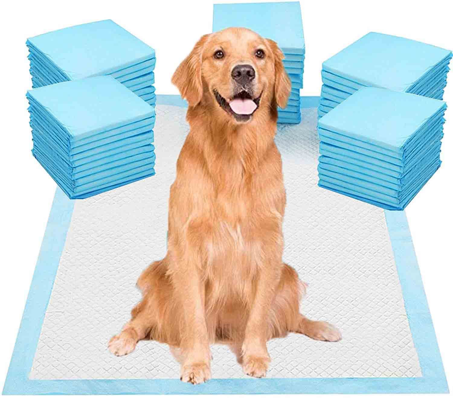 20pcs Pet Pee Pads, Disposable Absorbent Quick Drying Leak-Proof Pee Pad for Potty Training for Dog and Cat, 90x60cm, XL Size (20pcs/pack,Blue,90x60cm)