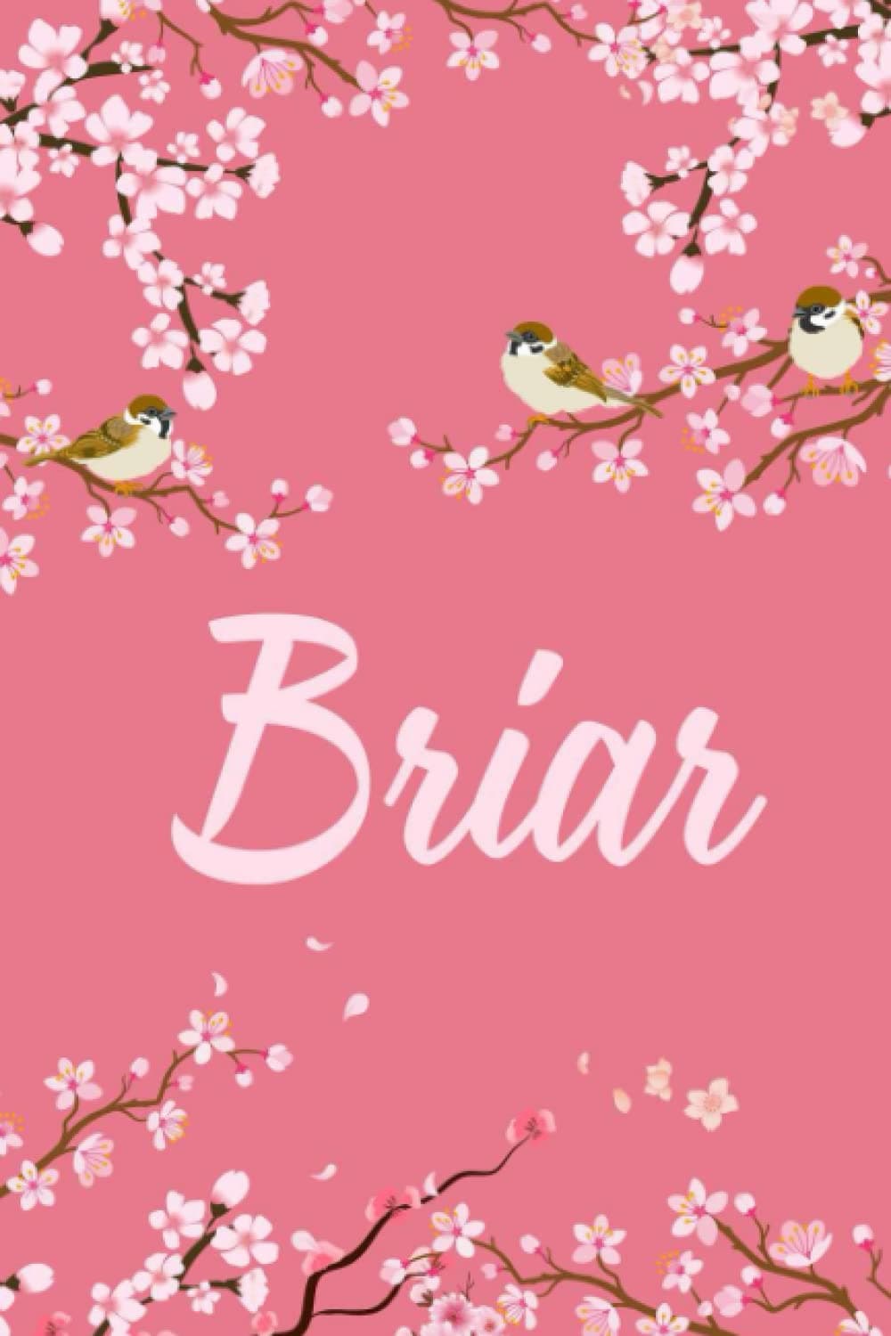 Briar: Cute Personalized Notebook With Name For Briar | Great Journal Gift Idea, 6x9, 120 Pages