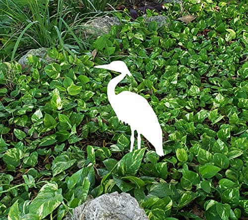 Clingermans Tropical Bird Lawn Decor Panel