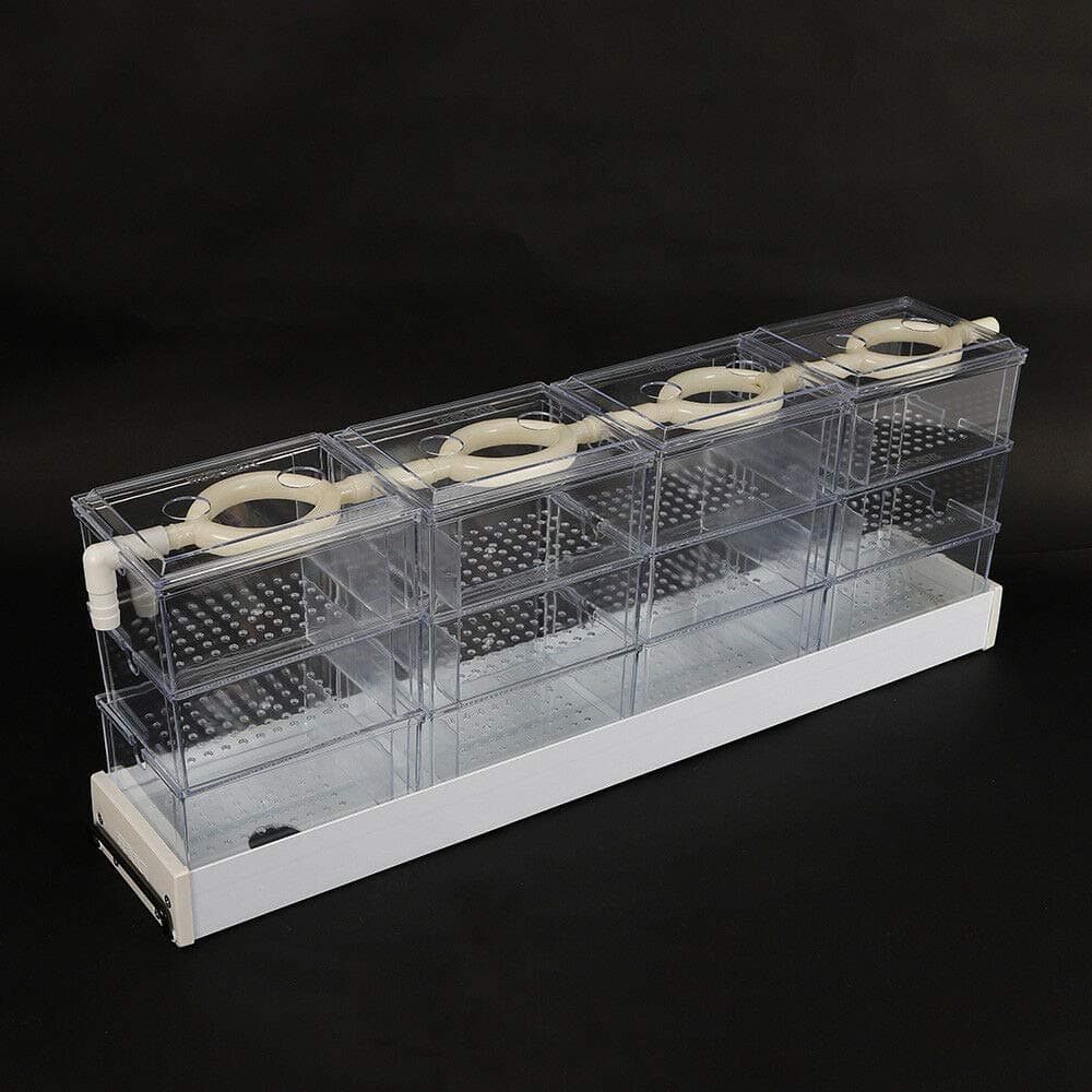Aquarium Filter Upper Box, 12PCS 360 Degree Loop Transparent Trickle Raindrop Upper Fish Tank Water Boxes Set with Drip Tube
