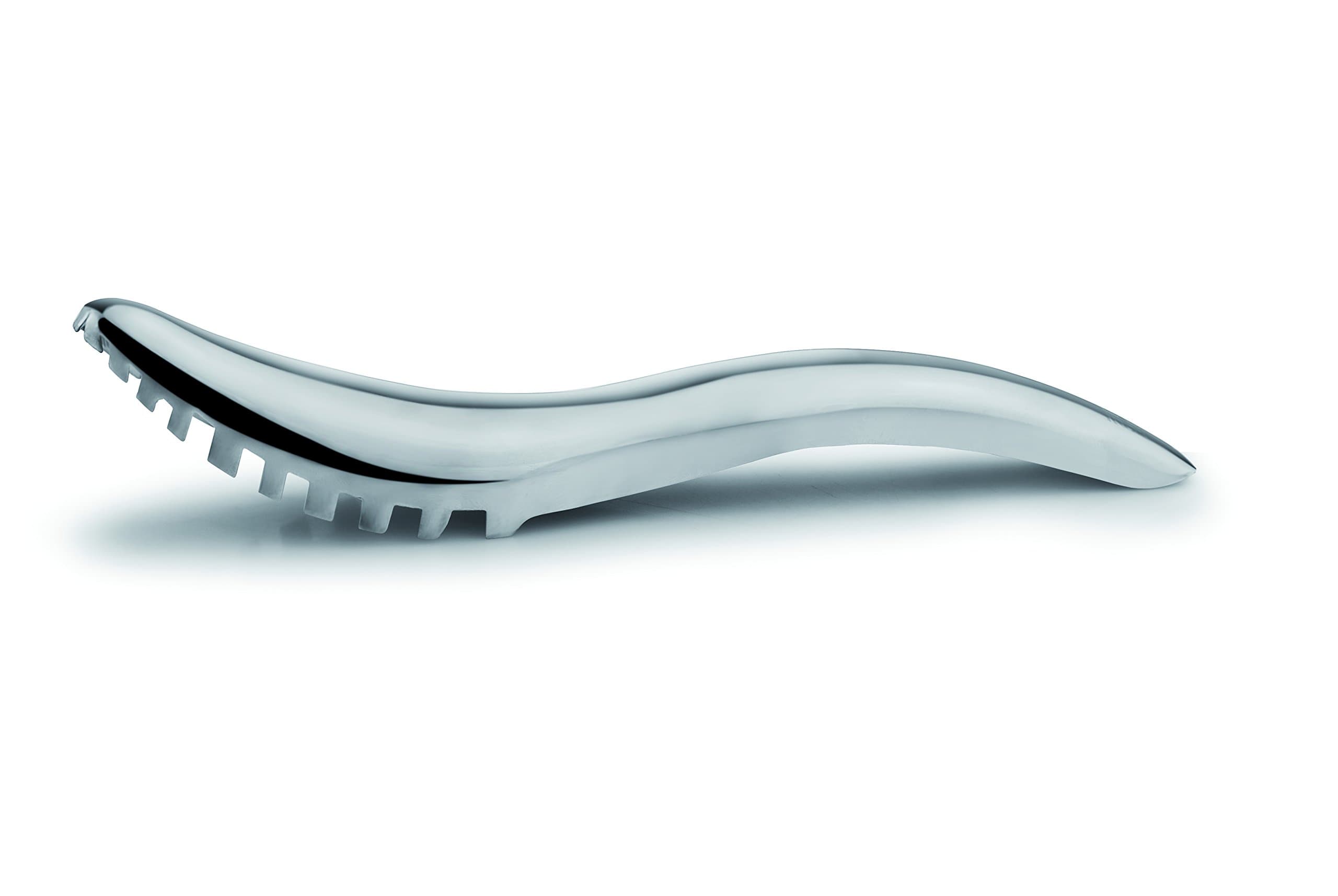 I GENIETTI Fish Scaler, Silver