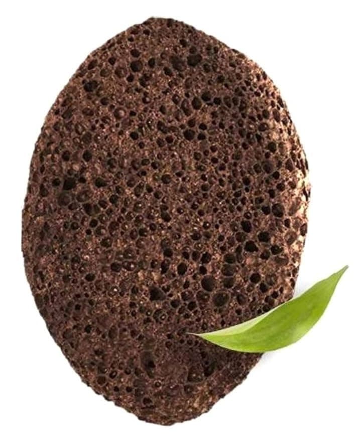 Pumice Stone Pacific Ocean Lava LARGE 1 Pack