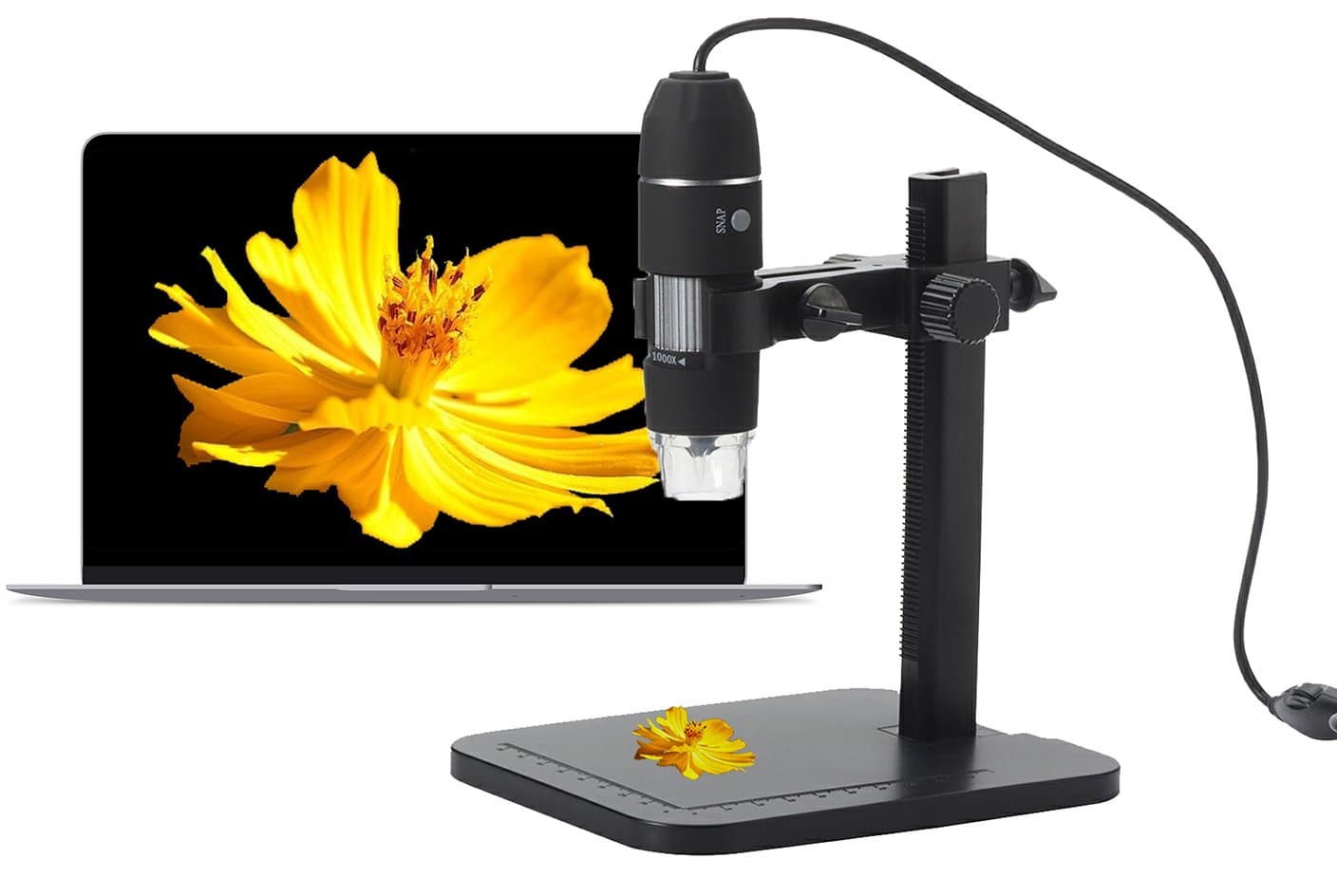 halomy USB Digital Microscope 1000x Magnification Microscope Endoscope with Built-in 8 LED and Adjustable Stand for Windows XP/Win 7/Vista