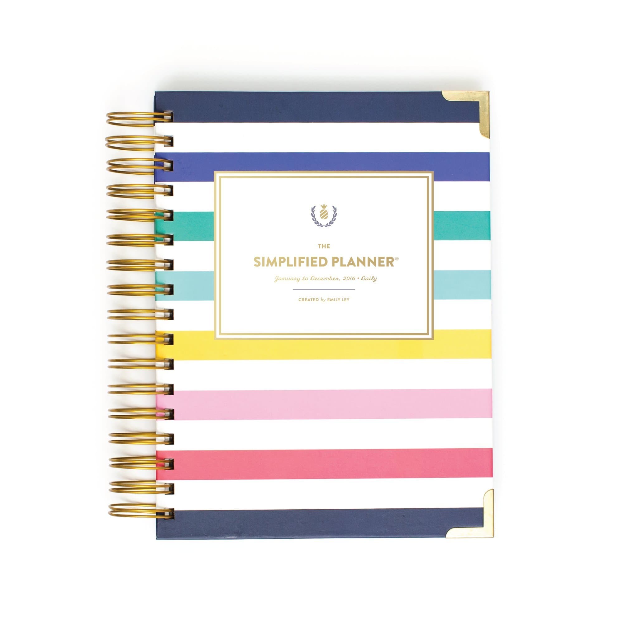 2016 Daily Simplified Planner - Happy Stripe