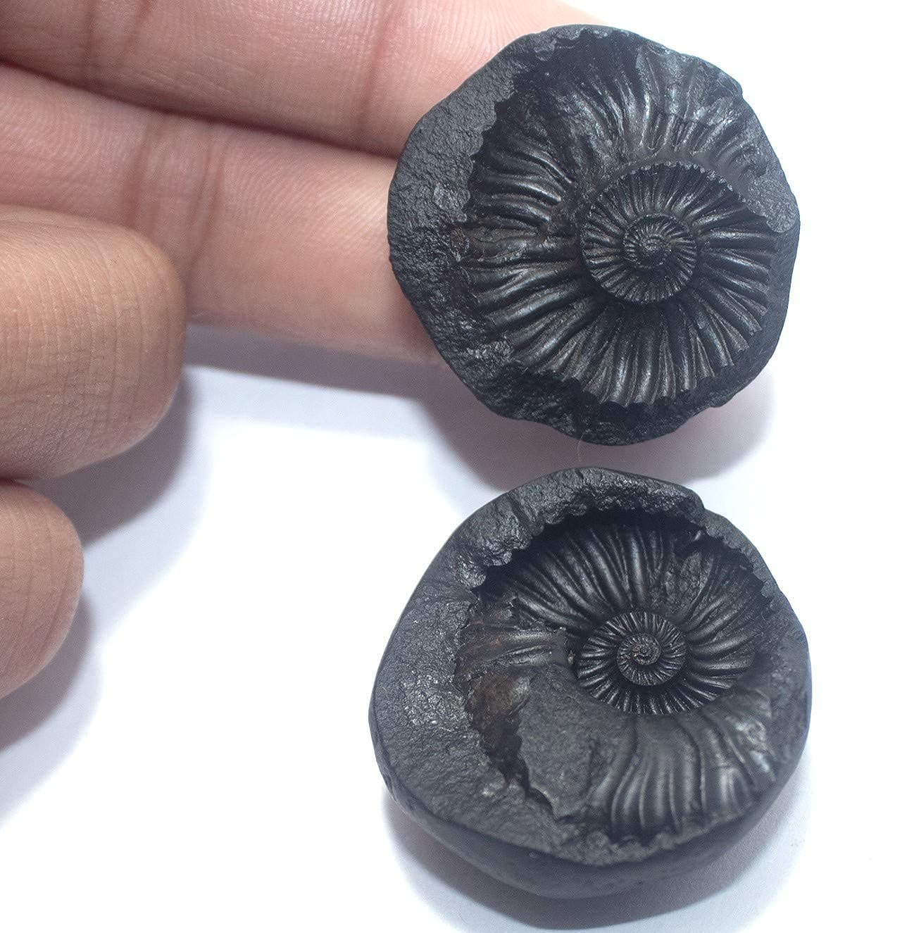 LAKSHMI NARAYANA 2 PIECE