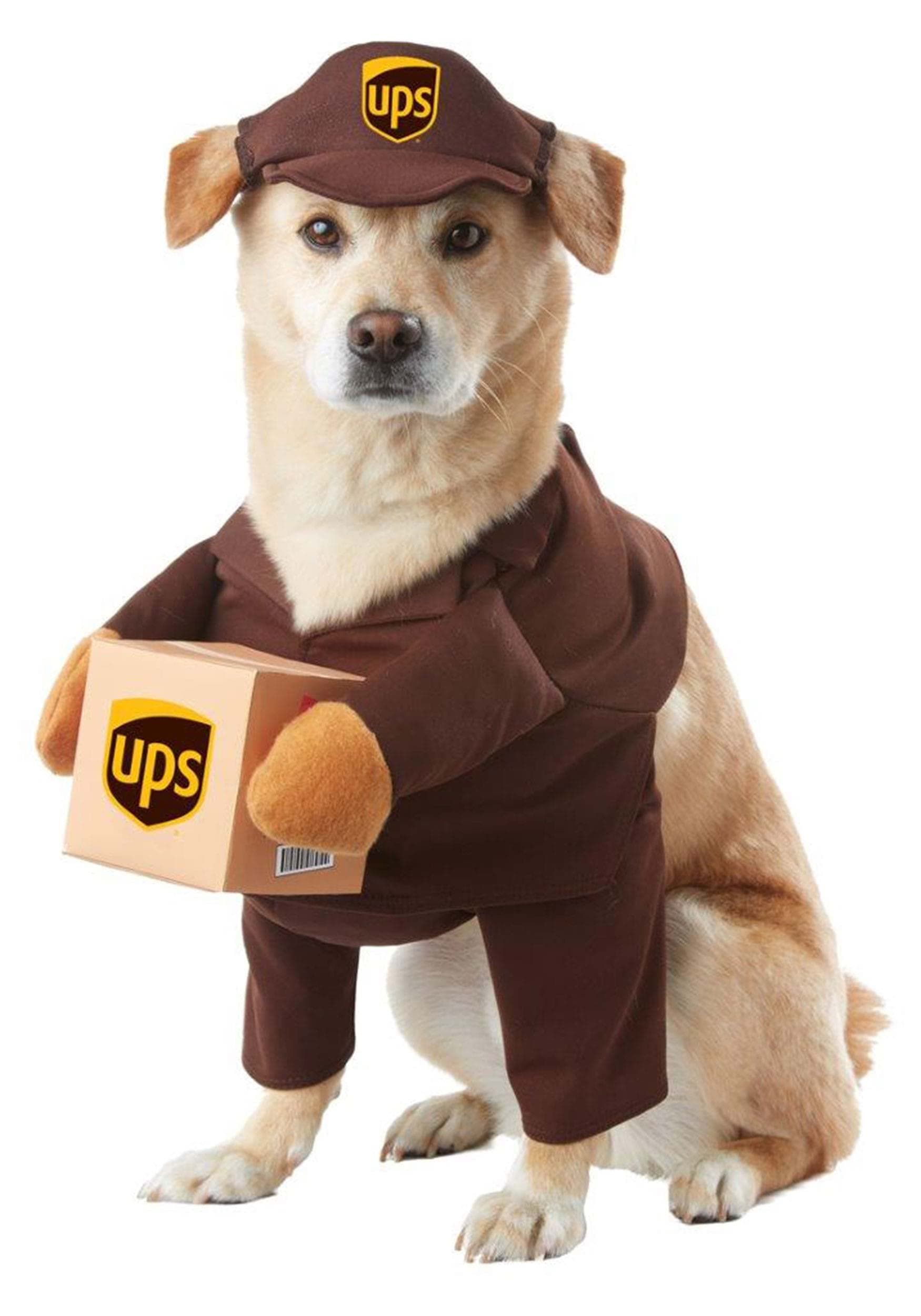 UPS Pal, Dog Costume, Medium