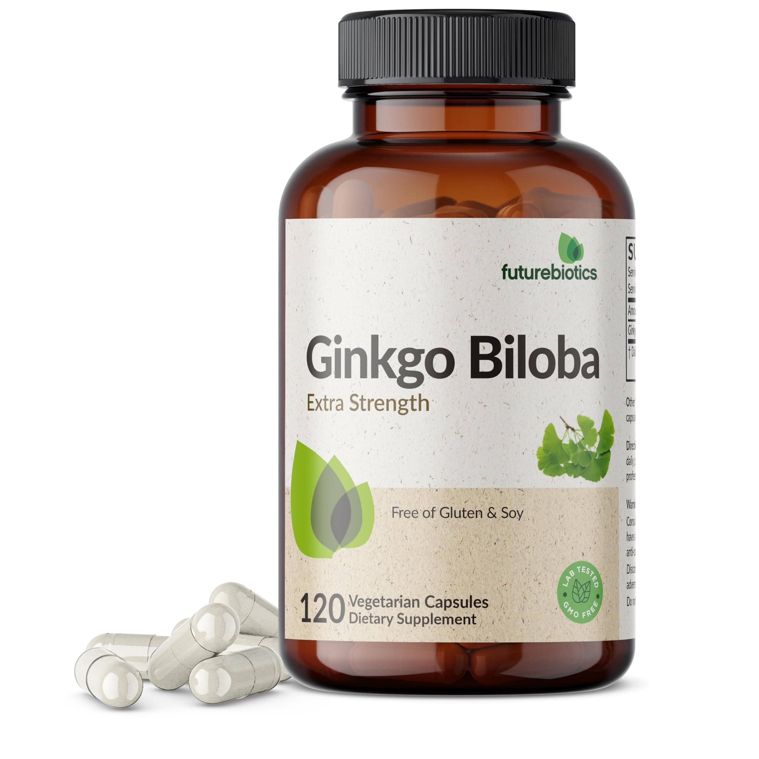Ginkgo Biloba Extra Strength Supports Brain Function & Memory Support, 120 Vegetarian Capsules