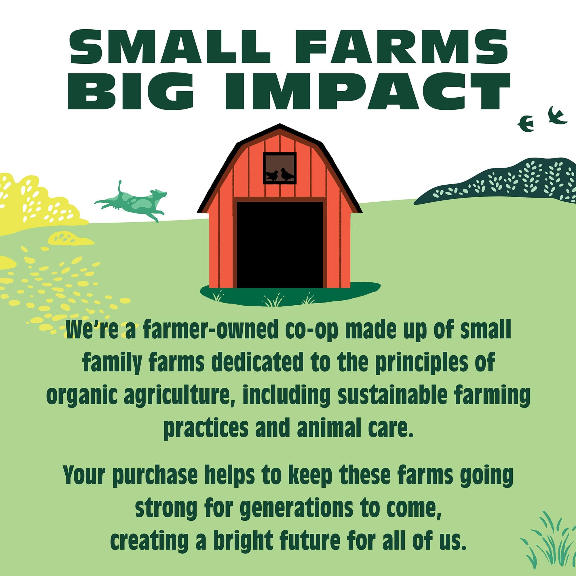 Organic Valley, Organic Free-Range Extra Large Brown Eggs - 1 Dozen (12 ct)