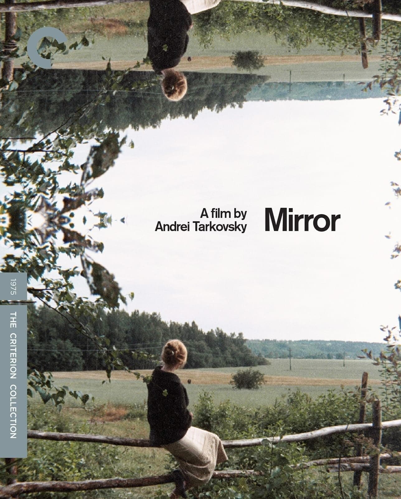 Mirror (The Criterion Collection) [DVD]