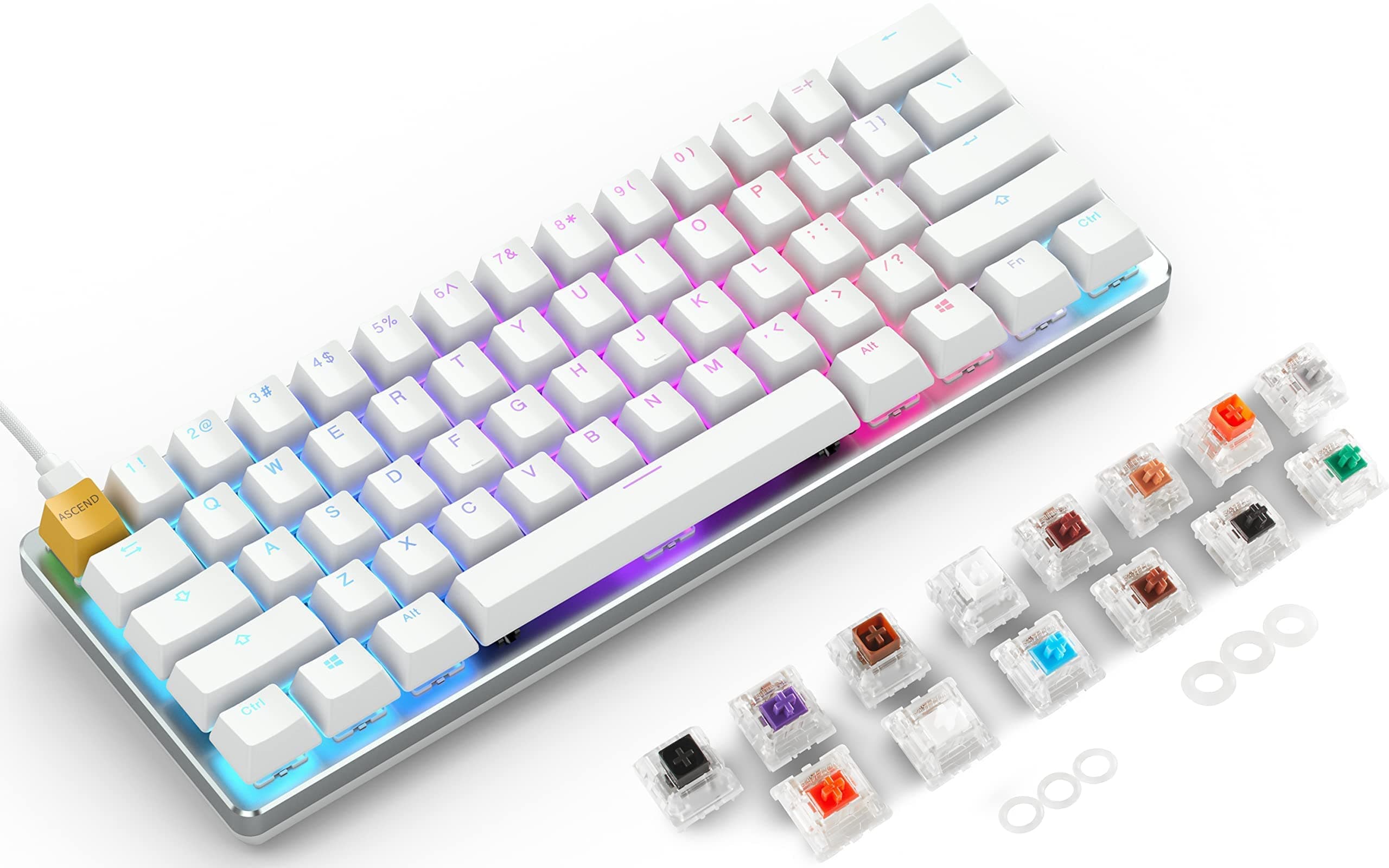 Glorious PC Gaming Race (Keyboard + Switch) Glorious GMMK Modular Mechanical Gaming Keyboard - 60% Compact Size (61 Key) Keyboard Switch Sample Pack (Bundle)