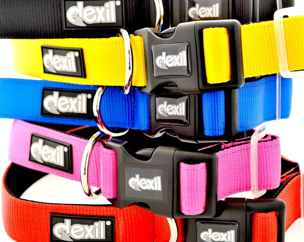 Dexil Elite Range Luxury Neoprene Padded Extra Strong Adjustable Small-Medium Pet Dog Collar (Flash Red, Small-Medium 25-43cm x 25mm)