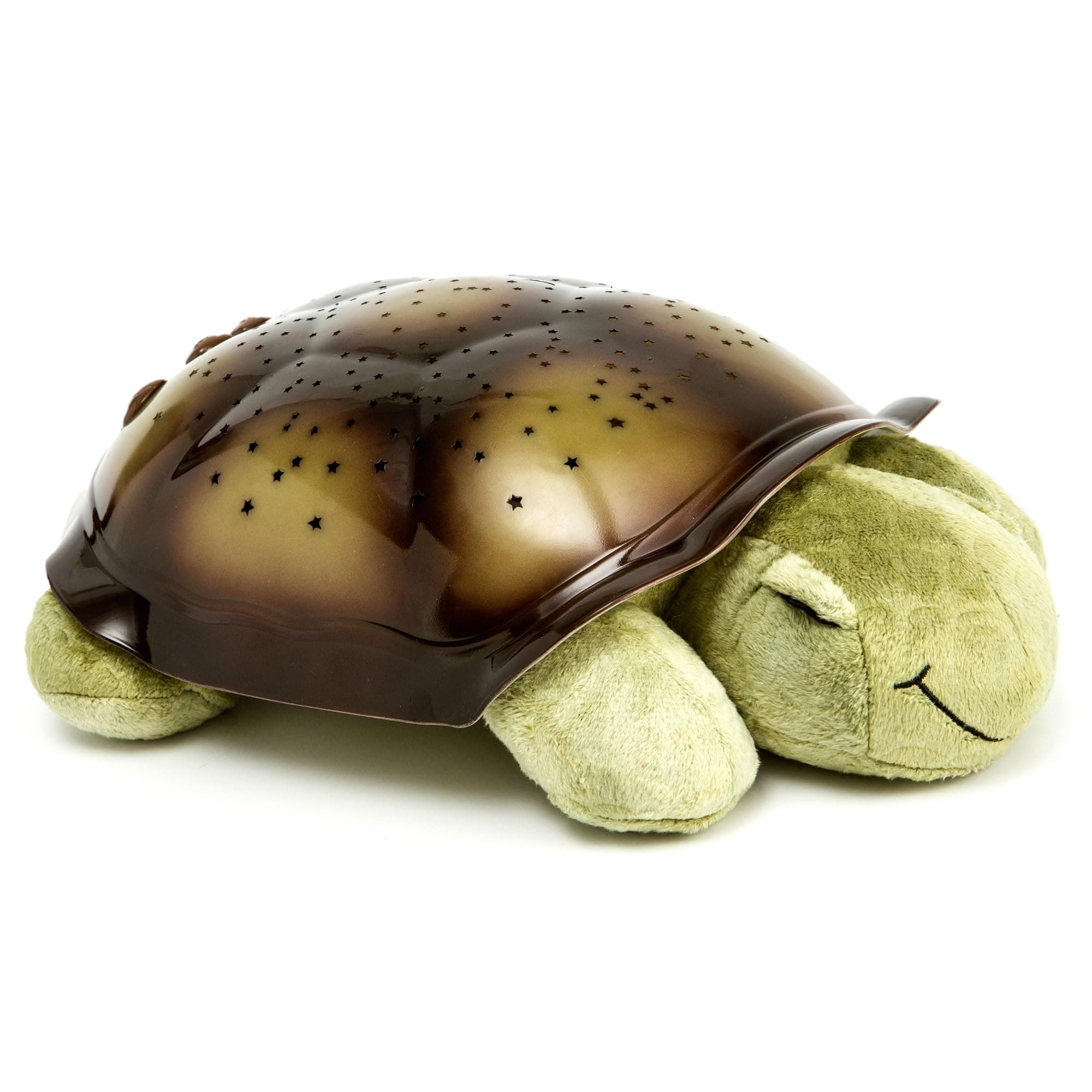 Twilight Turtle & Twilight Ladybug