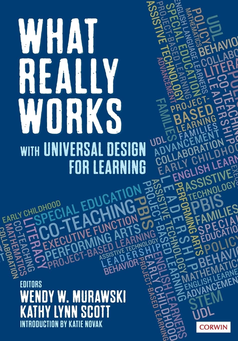 What Really Works With Universal Design for Learning