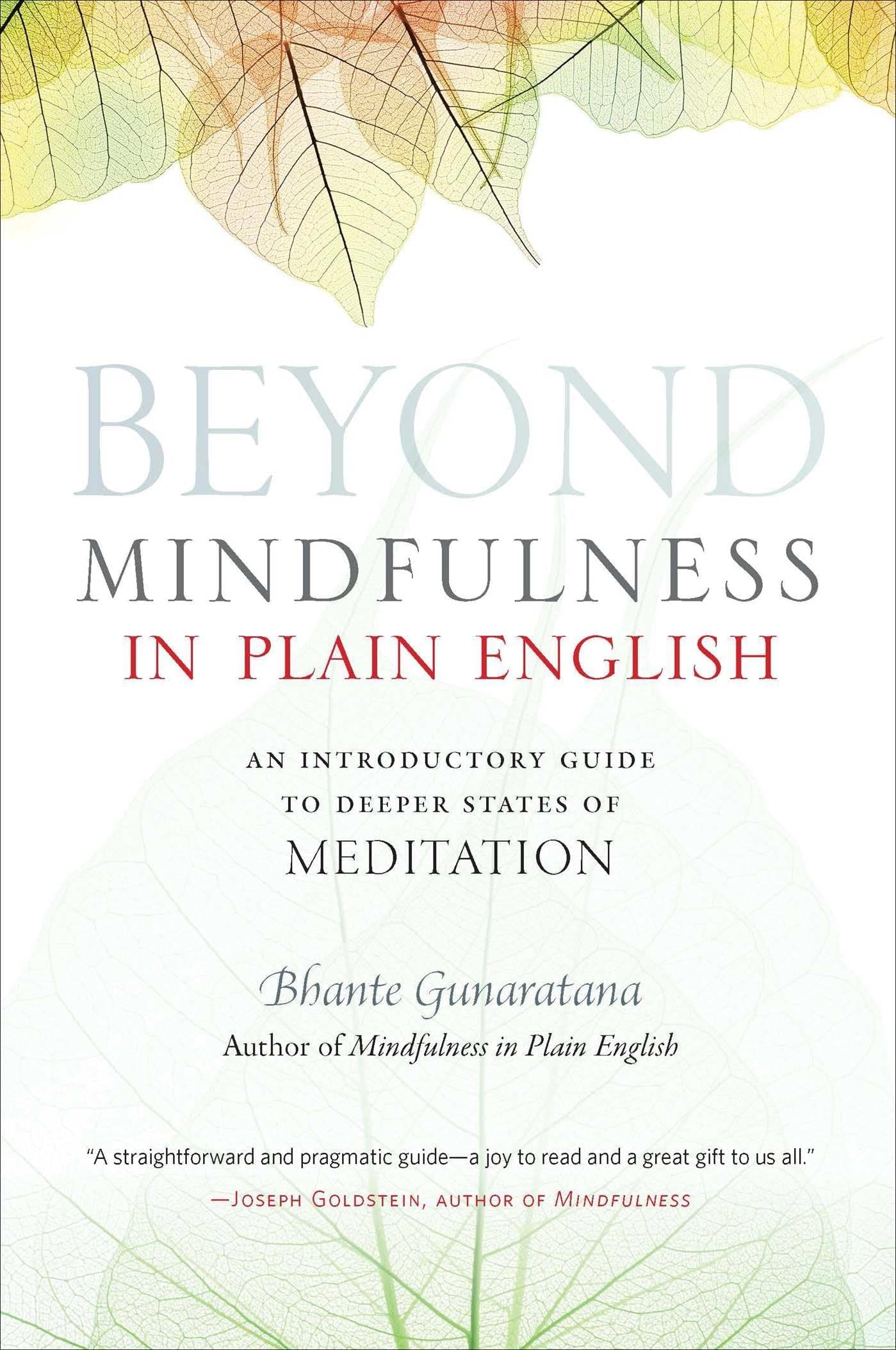 Beyond Mindfulness in Plain English: An Introductory guide to Deeper States of Meditation