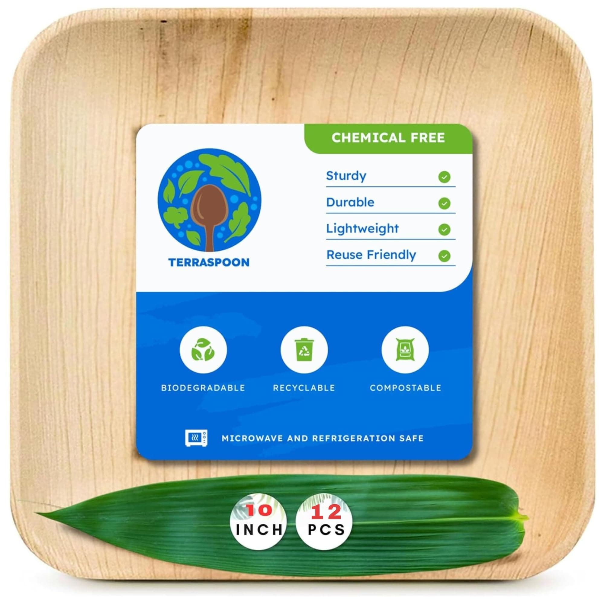 10 Inch Palm Leaf Square Dinner Plates (12 PACK), Strong, Bamboo Like, Compostable And Biodegradable Eco Friendly Plates - Pack Of 12