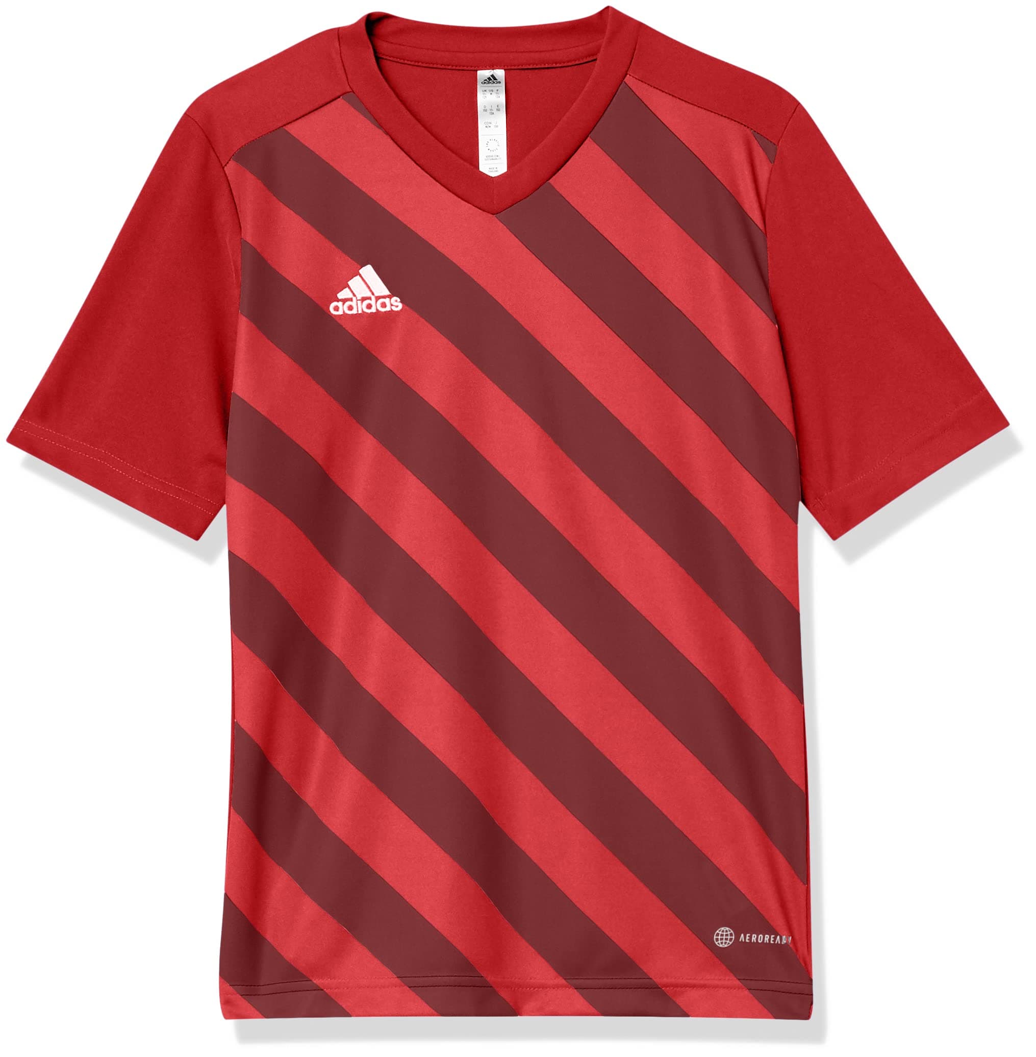 adidasKids' Entrada 22 Graphic Jersey