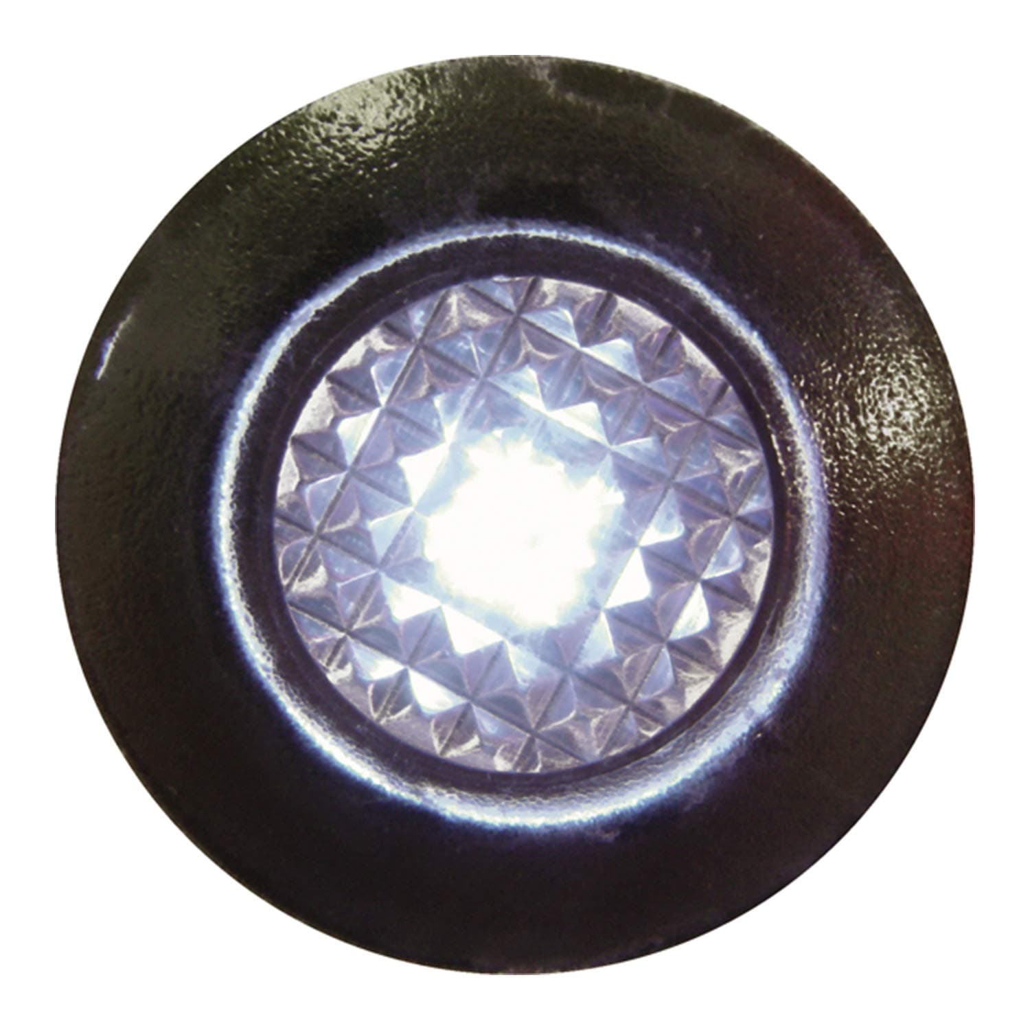 SeaSense LED Livewell Light, White