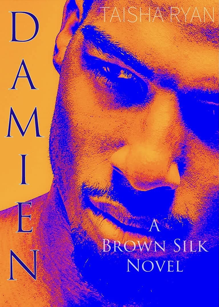 DAMIEN: A Brown Silk Novel