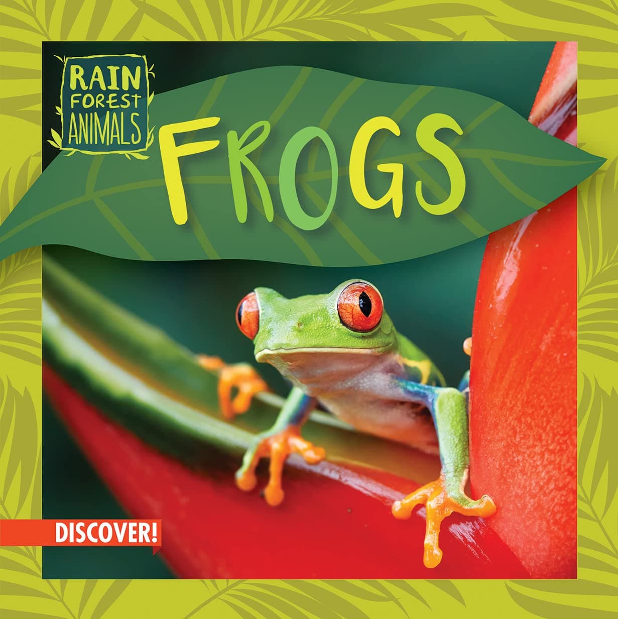 Frogs (Rain Forest Animals) Library Binding – 30 July 2023
