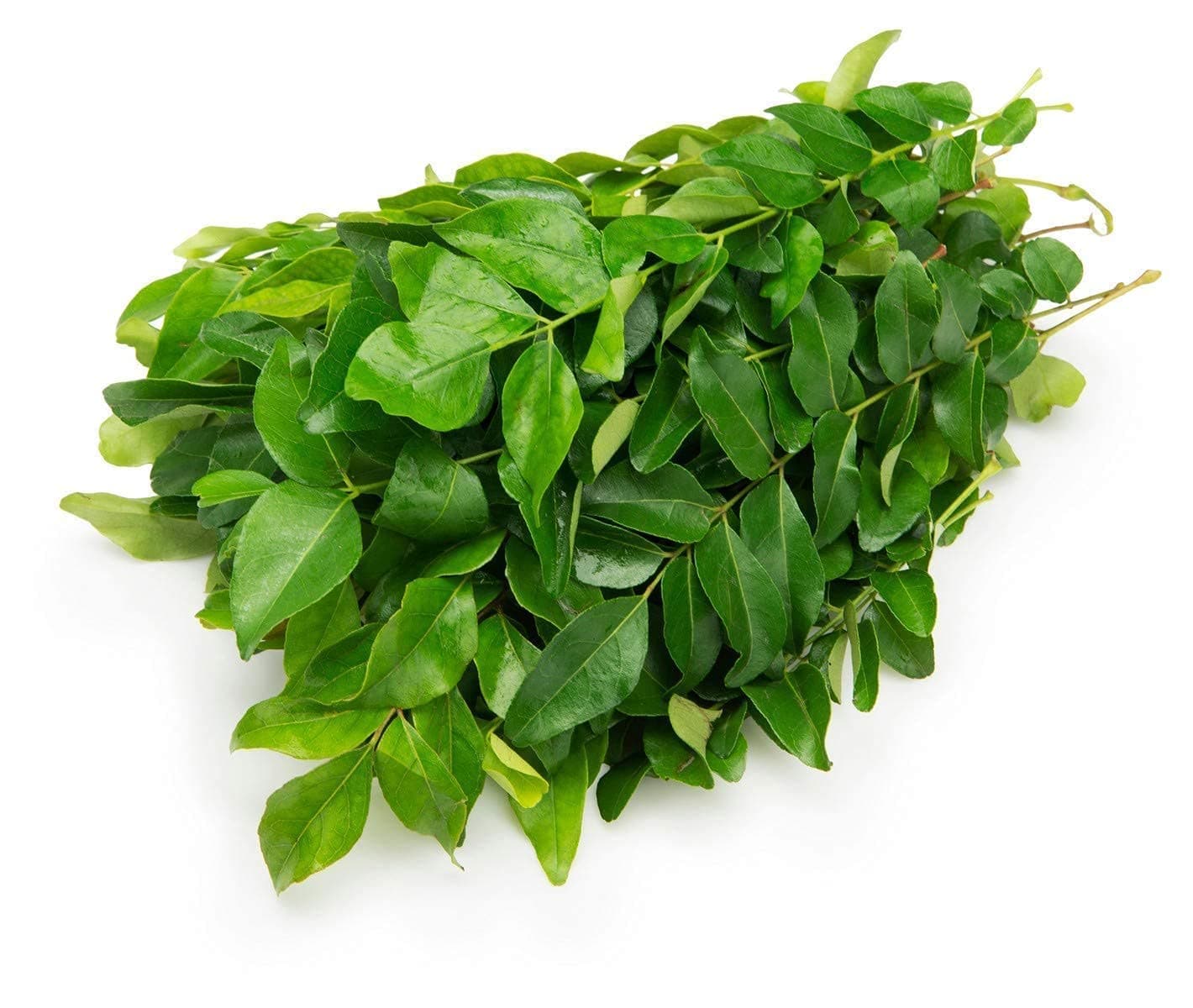 Curry Leaves, 100 grams Bunch
