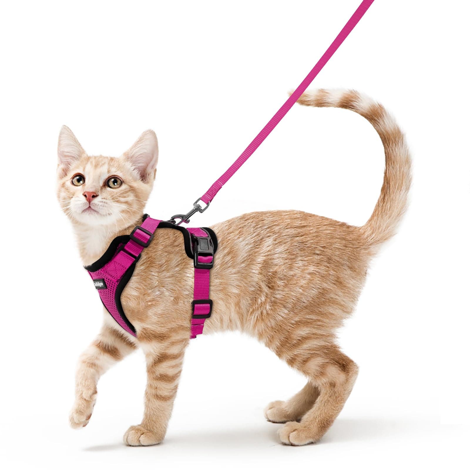 rabbitgoo Cat Harness and Leash for Walking, Escape Proof Soft Adjustable Vest Harnesses for Cats, Easy Control Breathable Reflective Strips Jacket, Rose Red,S