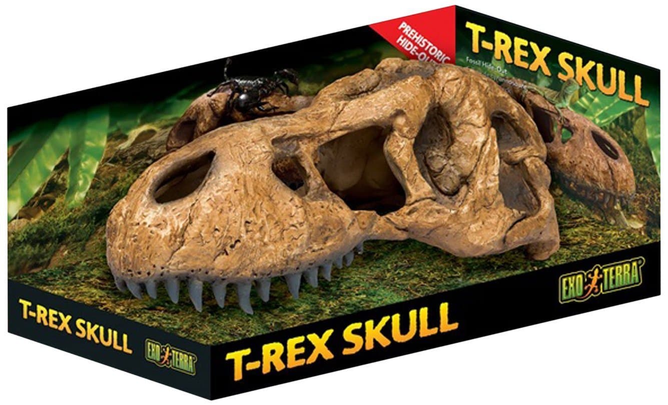 T Rex Skull